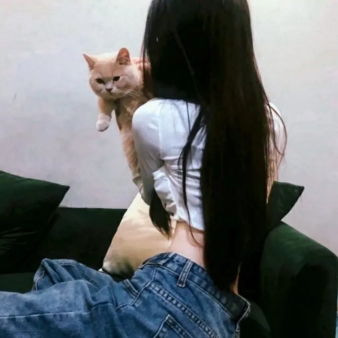 循环绑架